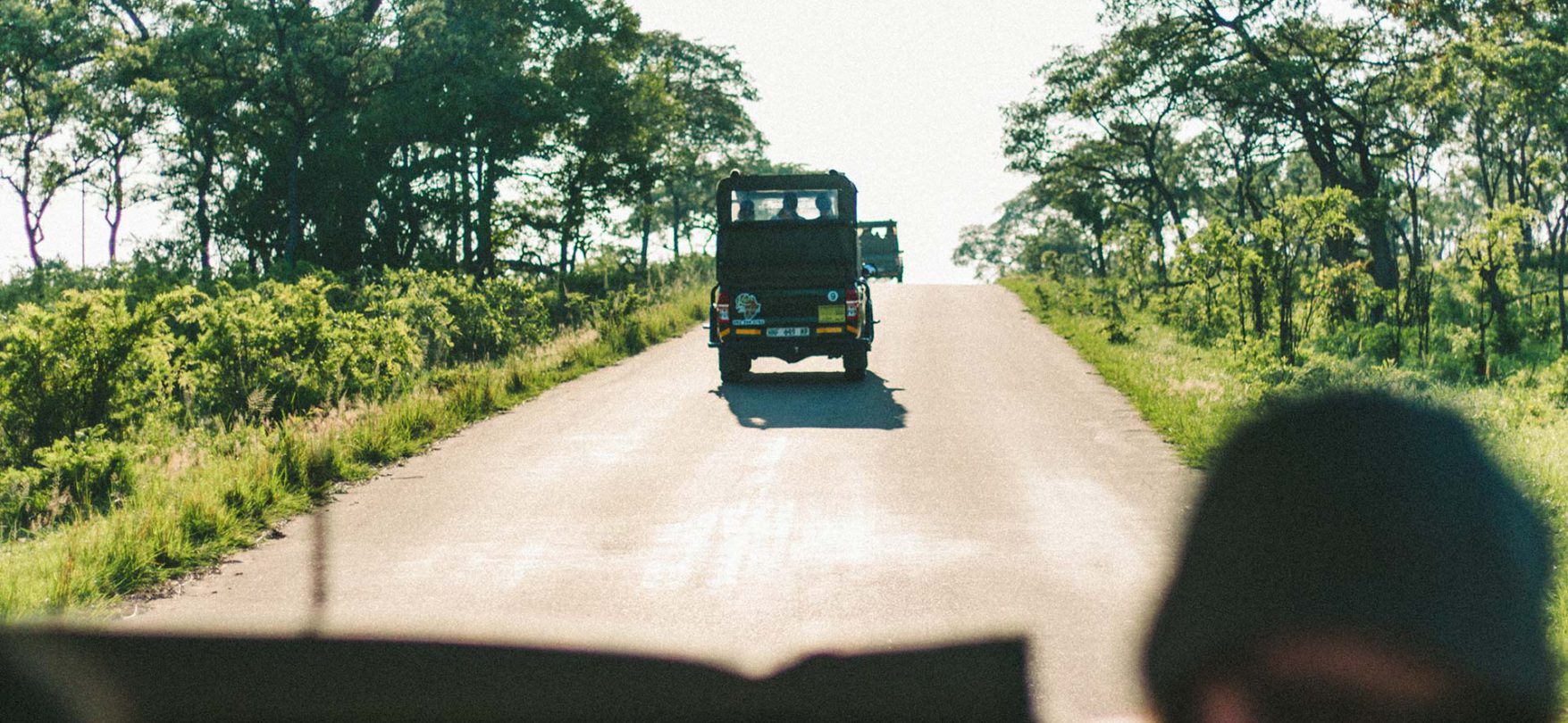 Bei einer Jeep-Tour durch die Savanne bieten sich tolle Möglichkeiten, die Flora und Fauna Afrikas zu entdecken