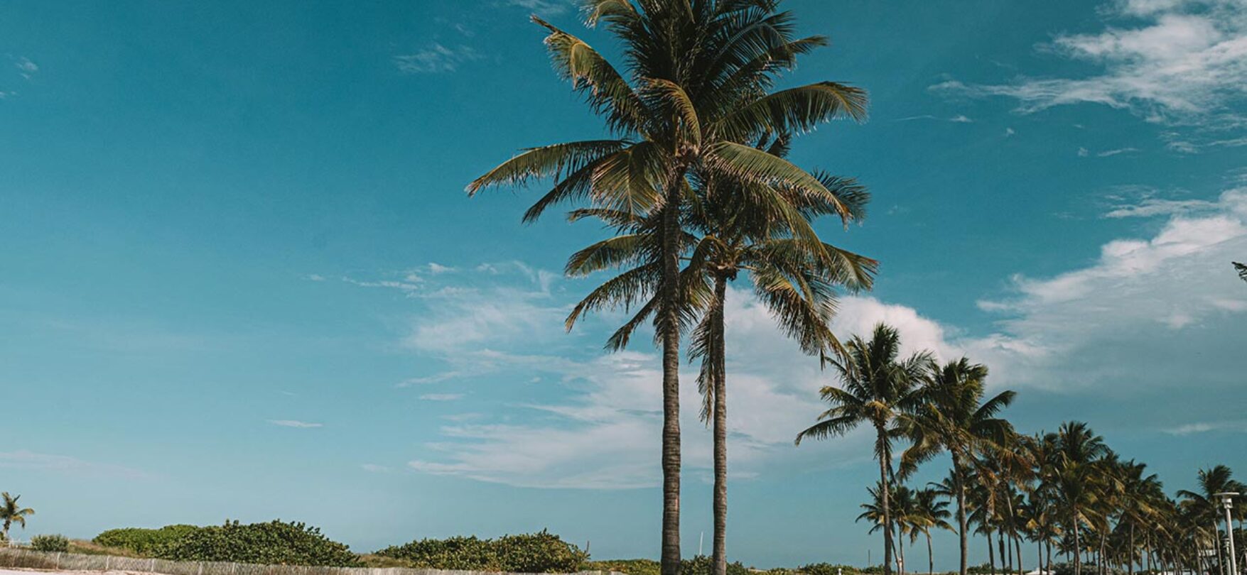 Miami Beach