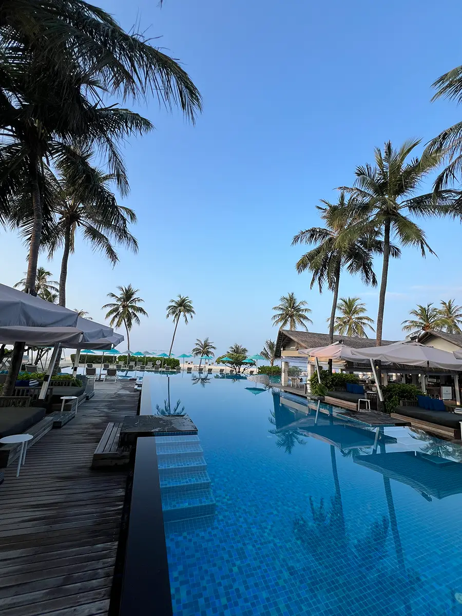 Reisebericht Honeymoon Malediven: Infinity-Pool im Cora Cora Maldives unter Palmen