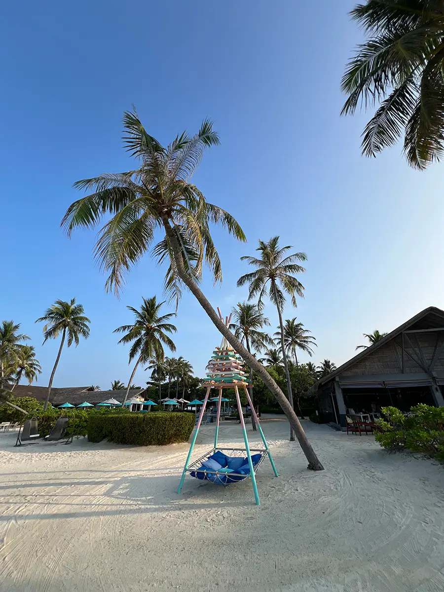 Reisebericht Honeymoon Malediven: Palmenstrand am Cora Cora als Einstieg zum Schnorcheln