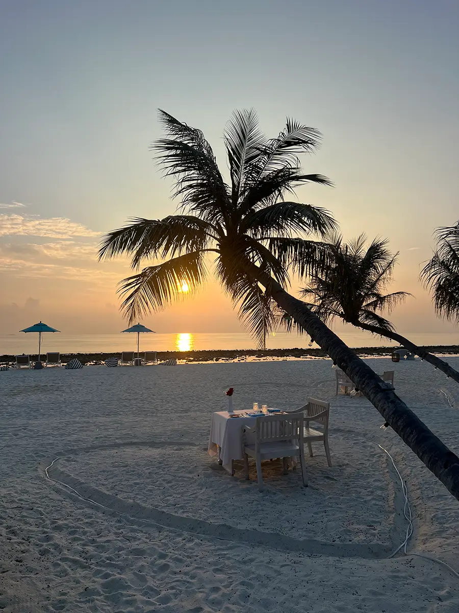 Reisebericht Honeymoon Malediven: romantisches Dinner am Strand bei Sonnenuntergang